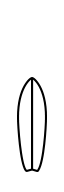 surfing2-details-icon1